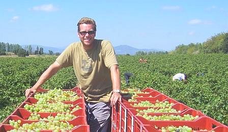 Jonathan Hesford, Vigneron