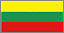 national flag of lithuania