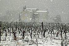 Rare snow scene : December 2002